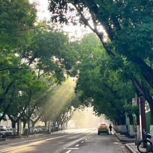 Listen to 叶子 (cover: 阿桑) (完整版) song with lyrics from 李佳龙Jog