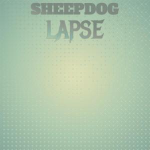 Various Artists的專輯Sheepdog Lapse