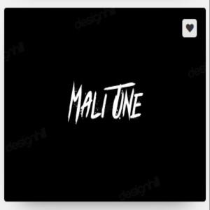 ดาวน์โหลดและฟังเพลง Dhamaystiran (feat. Ahmed Zaki) (Walla Shidanyay Remix) พร้อมเนื้อเพลงจาก Walla Shidanyahay