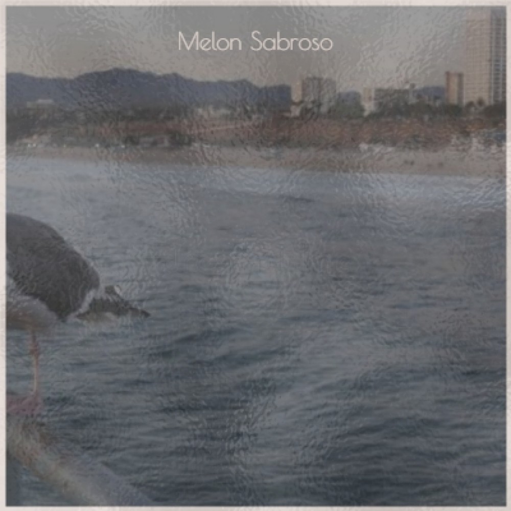 Melon Sabroso
