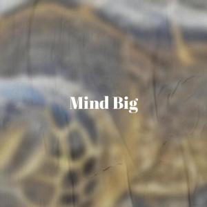 Dengarkan lagu Mind Big nyanyian Danne Prie dengan lirik