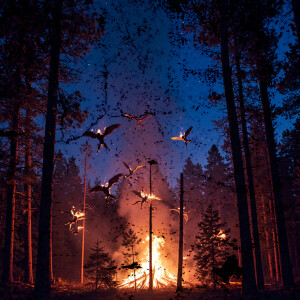 อัลบัม BURN (Feat. The Quiett, Leellamarz, ZENE THE ZILLA) ศิลปิน HD BL4CK