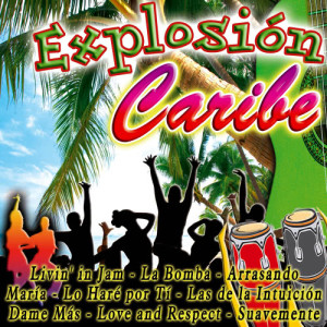 收聽DJ In the Night的Piel Morena歌詞歌曲