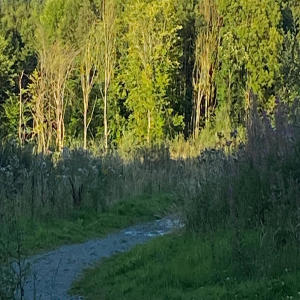 收聽CrA.I.g的Sorry (Distrokid Remix)歌詞歌曲