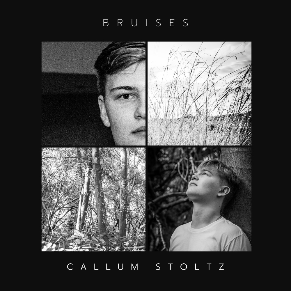 Bruises