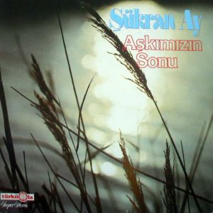 Listen to Yalancı song with lyrics from Şükran Ay