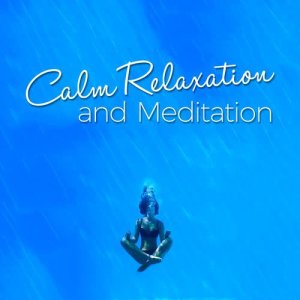 ดาวน์โหลดและฟังเพลง Voice of Truth พร้อมเนื้อเพลงจาก Chinese Relaxation and Meditation