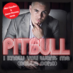 收聽Pitbull的I Know You Want Me (Calle Ocho) (Alex Gaudino & Jason Rooney Remix)歌詞歌曲