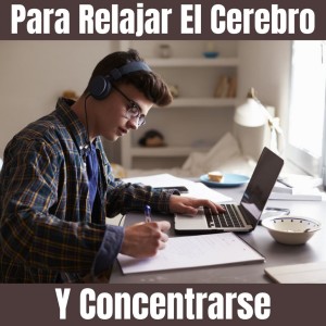 Album Para Relajar El Cerebro Y Concentrarse from Para Estudiar