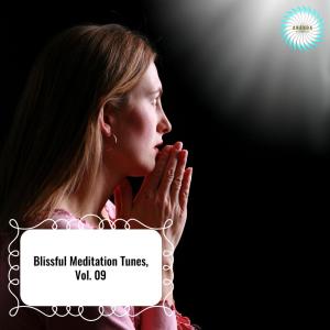 Dengarkan Reposing Calming Chimes lagu dari Alivia Wayns dengan lirik