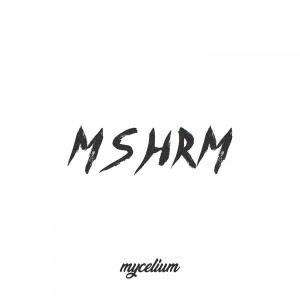 อัลบัม MSHRM ศิลปิน Mushroom