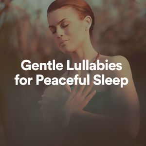อัลบัม Gentle Lullabies for Peaceful Sleep ศิลปิน Baby Sleep Through the Night