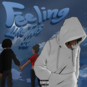 Feeling Like This (Explicit)