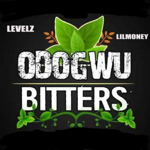 Album Odogwu Bitters (feat. Lil Money Nwanne) from LEVELZ