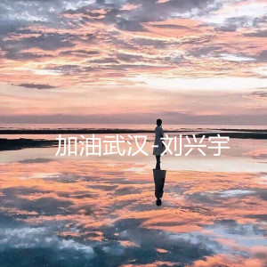 Listen to 加油武汉 (完整版) song with lyrics from 刘兴宇