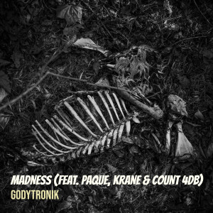 Listen to Madness (Explicit) song with lyrics from Godytronik