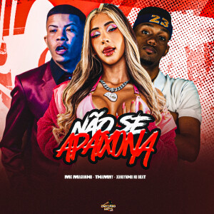 Xandynho no Beat的專輯NÃO SE APAIXONA (Explicit)