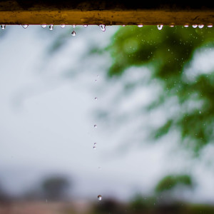 收听Rain Sounds的Rain on Umbrella歌词歌曲