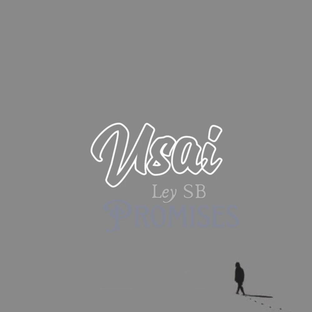 Usai