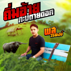 Dengarkan ถิ่มอ้ายกะบ่ตายดอก lagu dari พส วรพงษ์ dengan lirik