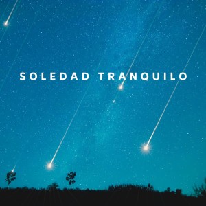 Album Soledad Tranquilo oleh Inkognitone