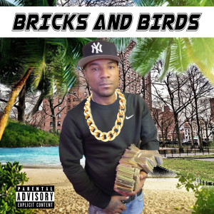 Listen to Bricks and Birds (Explicit) song with lyrics from oohwop