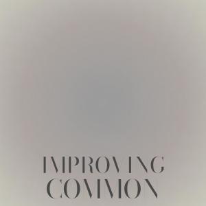 Various的专辑Improving Common