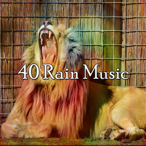 Dengarkan Lightning Speech lagu dari Rain Sounds dengan lirik