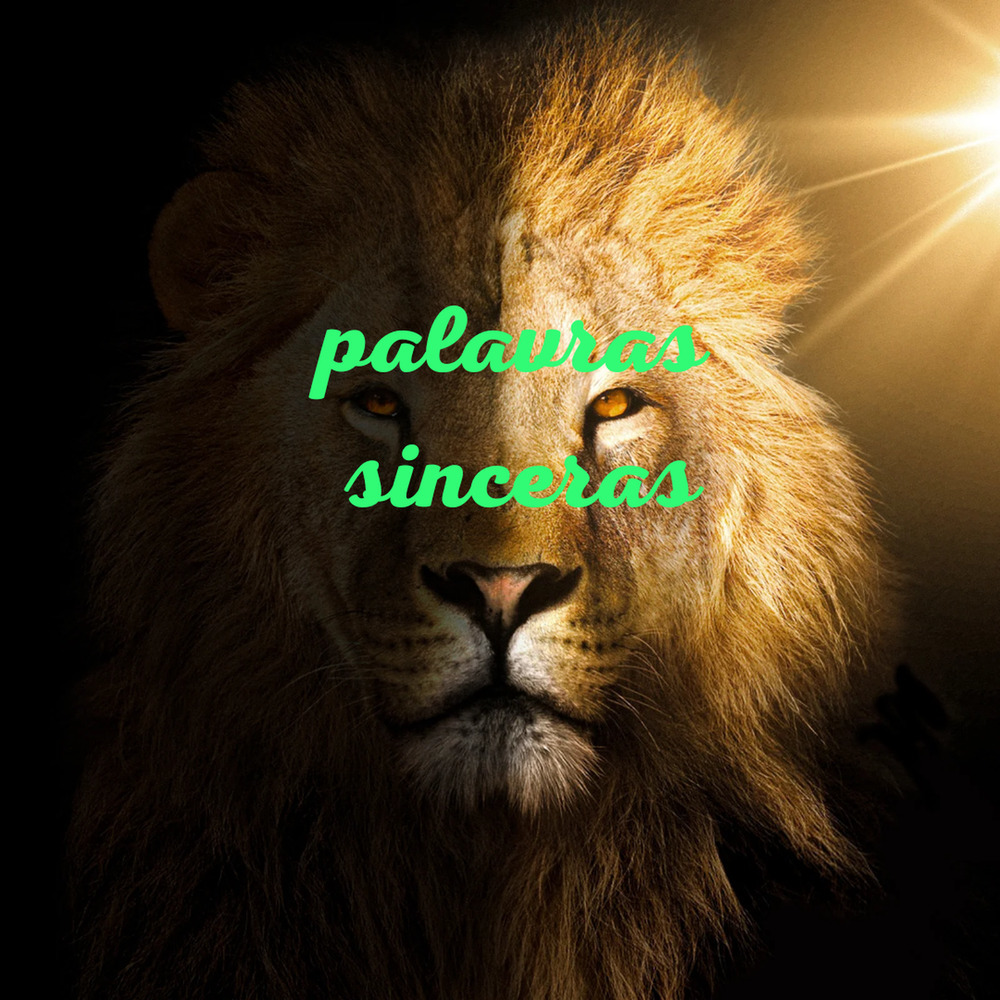 Palavras Sinceras