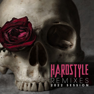 Various Artists的专辑Hardstyle Remixes 2022 Session