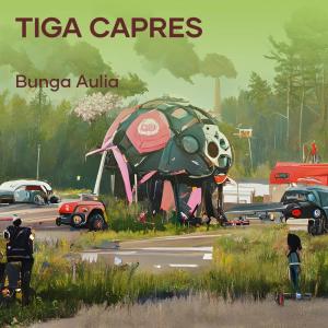 Listen to Tiga Capres song with lyrics from Bunga aulia