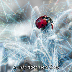 42 Inspiration From Sleep