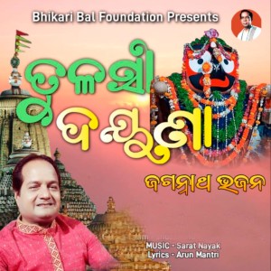 Listen to Deula Ku Tora song with lyrics from Bibhu Kishore