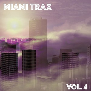 Various Artists的專輯Miami Trax, Vol. 4