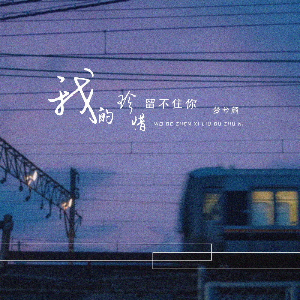 我的珍惜留不住你 (DJ阳少版伴奏)