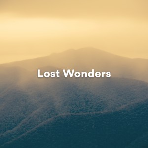 Album Lost Wonders oleh Deep Relaxation Meditation Academy