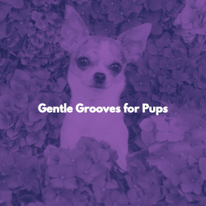 อัลบัม Gentle Grooves for Pups ศิลปิน Feel Good Dinner Music