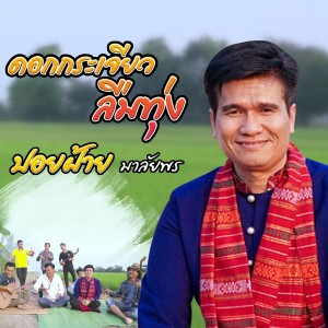 收聽ปอยฝ้าย มาลัยพร的ดอกกระเจียวลืมทุ่ง歌詞歌曲