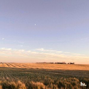 Album Last Sunny Day Of The Year from Lynde