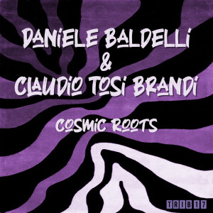 Album Cosmic Roots from Daniele Baldelli