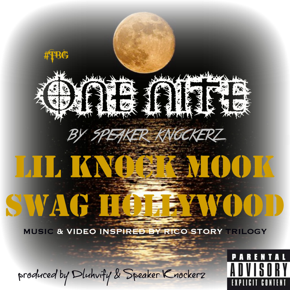 One Nite (feat. Lil Knock, Swag Hollywood & Mook) (Explicit)