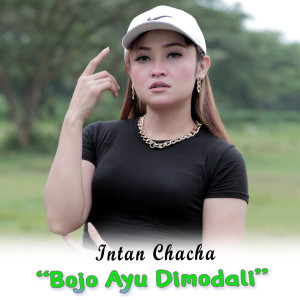 Dengarkan Bojo Ayu Dimodali lagu dari Intan Chacha dengan lirik