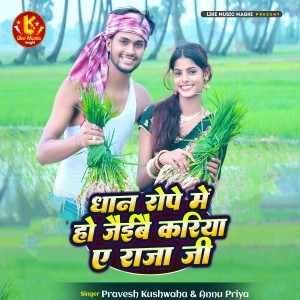 Album Dhan Rope Me Ho Jaibe Kariya A Raja Ji from Pravesh Kushwaha