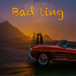 King P的專輯Bad Tin (feat. DJ Shevo & King P) [Explicit]