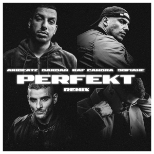 Perfekt (Remix) (Explicit)