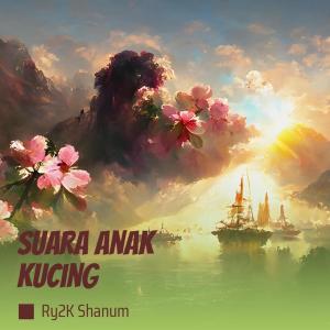 收聽Ry2k Shanum的Suara anak kucing歌詞歌曲