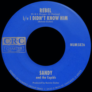 ดาวน์โหลดและฟังเพลง Rebel พร้อมเนื้อเพลงจาก Sandy