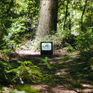 Dengarkan Arden (slow-key Remix) (Explicit) (slow-key Remix|Explicit) lagu dari Arden Records dengan lirik