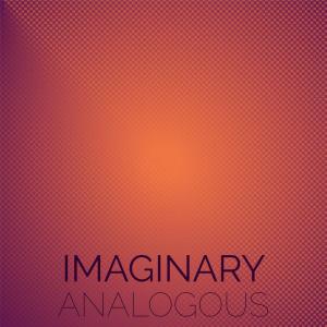 Album Imaginary Analogous from Various