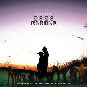 收聽Chiz BDM的Zizi Elihle (feat. Sims Noreng, Baby Spark, Ratii & Skarazor La Mellow)歌詞歌曲